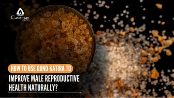 How to Use Gond Katira to Improve Male Reproductive Health Naturally?