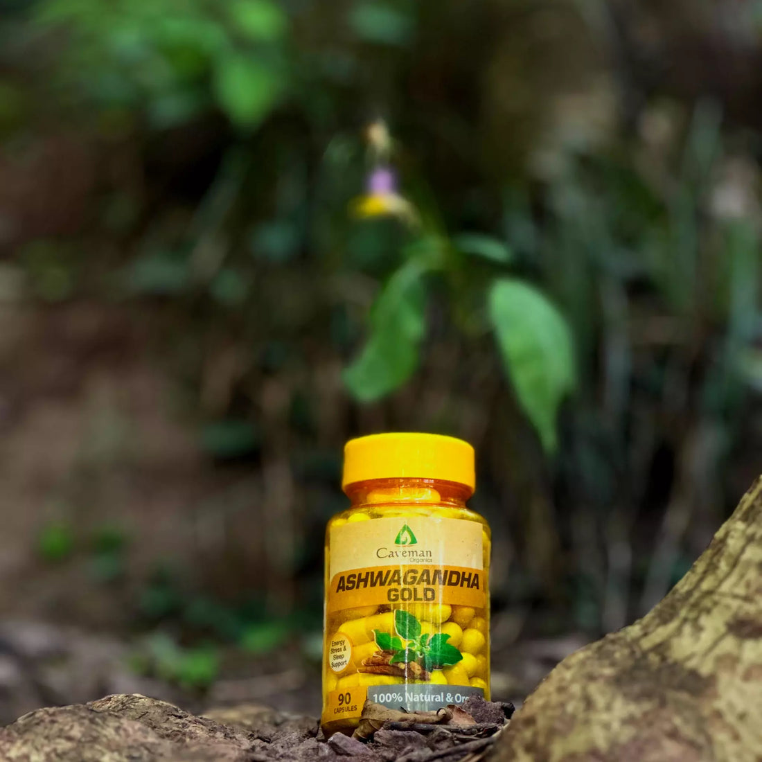 Ashwagandha Gold Capsules 100 Pcs Bottle