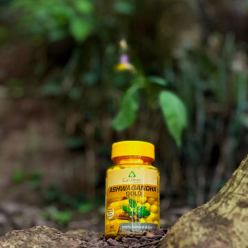Ashwagandha Gold Capsules 100 Pcs Bottle