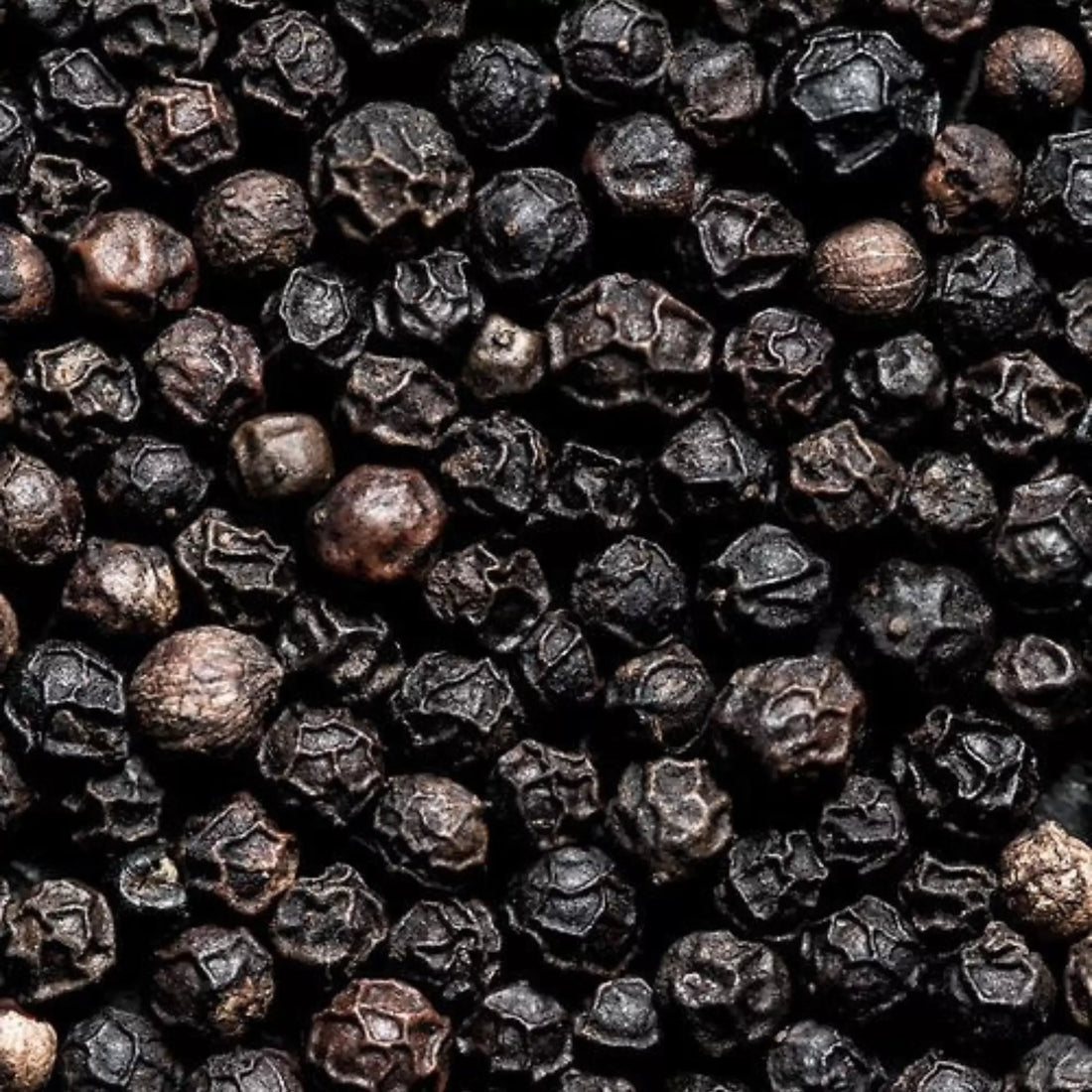 Black Pepper Tellicherry Grade