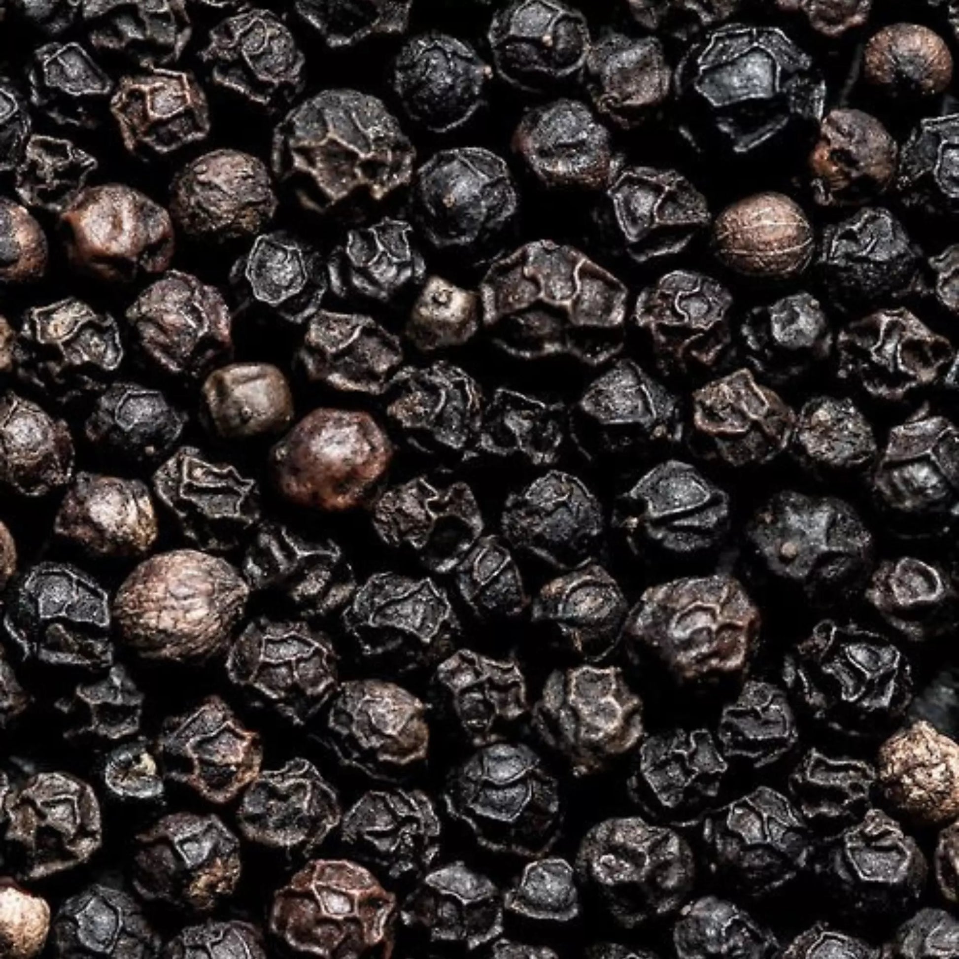 Black Pepper Tellicherry Grade