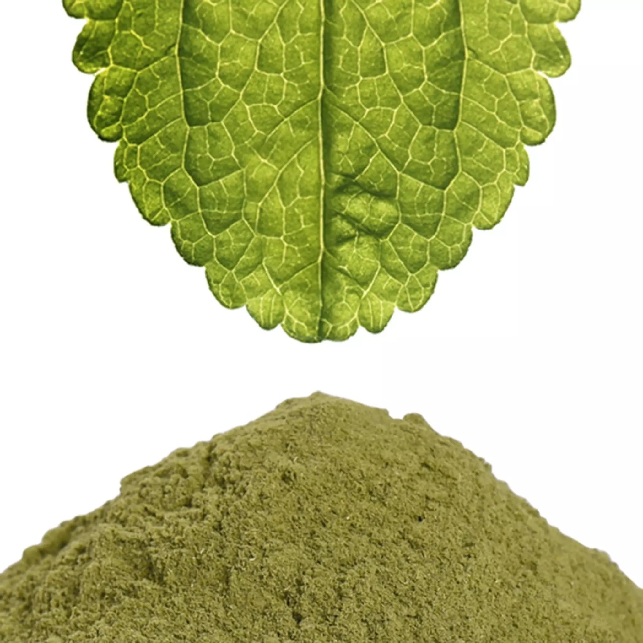Stevia Powder